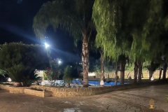 7_SETTE